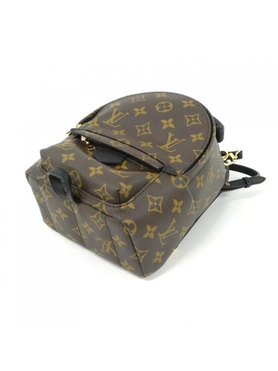 Louis Vuitton Monogram Palm Spring Backpack Mini Sac